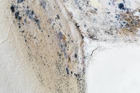 Best Residential Mold Inspection & Testing  in Lindsborg, KS